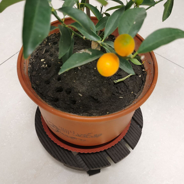 Factory Supply WPC Interlocking Balcony Tiles Composite DIY Tiles Exterior Terrace WPC Flooring Tiles for Outdoor