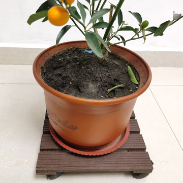 WPC Floor Diagonal Grain Dark Cooffee Color Wood Plastic Composite Diy Splicing Flooring Outdoor for Home