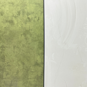 SPC wall panels for kitchen and living room