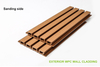First generation WPC WALL PANEL GREAT WALL PANEL
